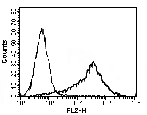 APRIL monoclonal antibody (Sacha-1) Flow Cytometry