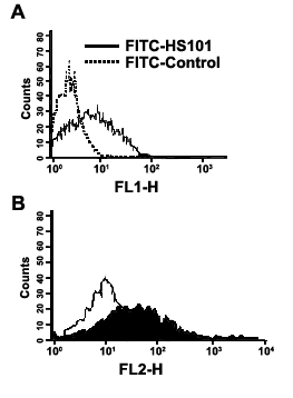 TRAIL-R1 (human) monoclonal antibody (HS101) (FITC conjugate) image
