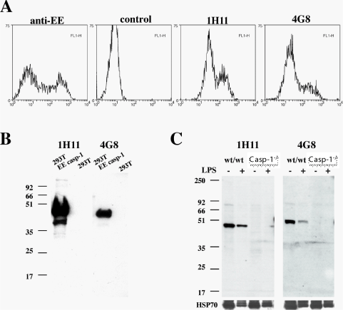 Caspase-1 (mouse) monoclonal antibody (4G8) Flow Cytometry