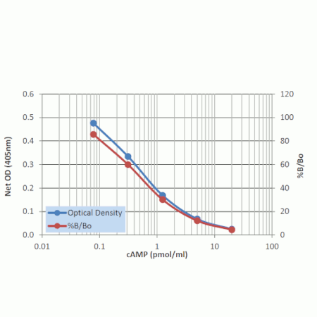 Direct cAMP ELISA kit Standard curve - Acetylated