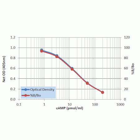 cAMP ELISA kit Standard curve - Non-Acetylated
