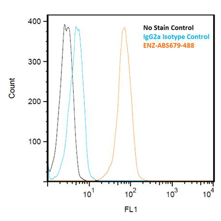 KDEL monoclonal antibody (10C3) (DyLight™ 488 conjugate) FACS