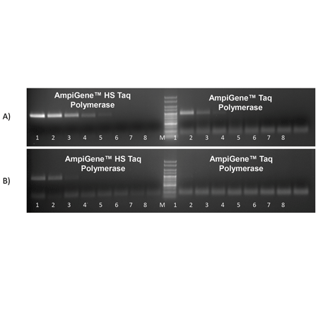 AMPIGENE&reg; HS Taq DNA Polymerase gel
