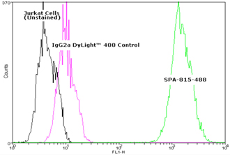HSC70/HSP73 monoclonal antibody (1B5) (DyLight&trade; 488 conjugate) Flow Cytometry