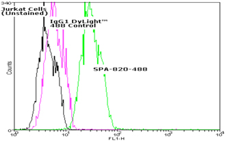 HSC70/HSP70 monoclonal antibody (N27F3-4) (DyLight&trade; 488 conjugate) Flow Cytometry