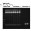 AMPIGENE Hot Start High Fidelity Polymerase performance difficult and long templates