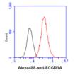CD64 monoclonal antibody (AT37F7) FACS Hela