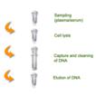 AMPIXTRACT&reg; DNA Isolation Kit for Plasma/Serum schematic