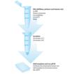 PCR decontamination kit Workflow