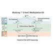 BIOARRAY&trade; 5-hmC methylation kit Fig3