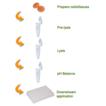 EPIXTRACT&reg; Total Histone Extraction Kit schematic